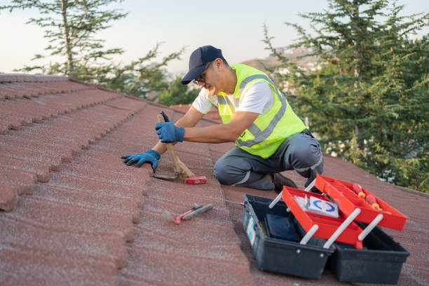 Sealant for Roof in Bonnetsville, NC