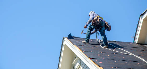 Roof Gutter Cleaning in Bonnetsville, NC